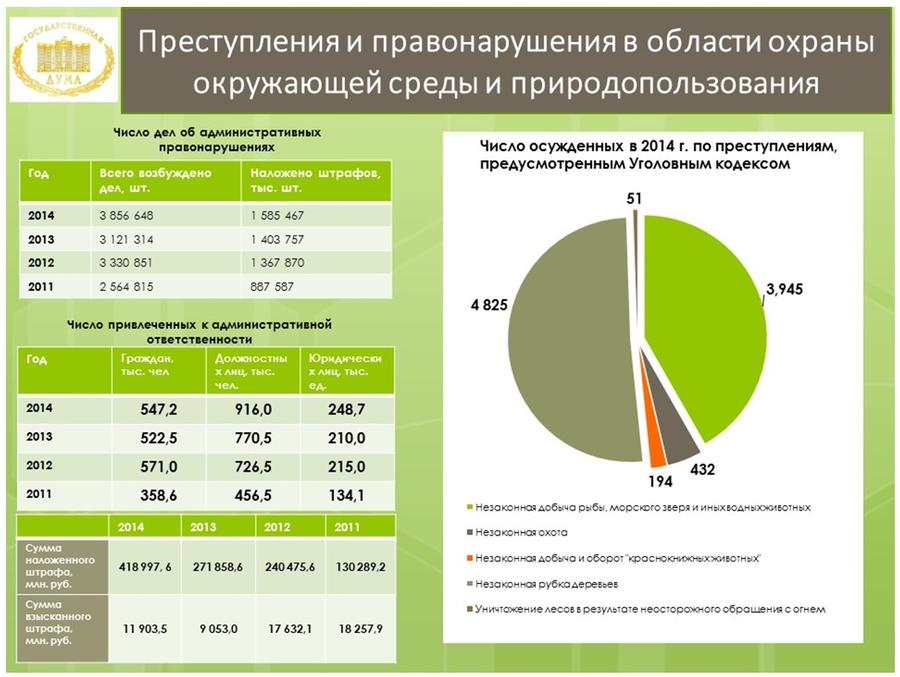 Административное правонарушение природопользования. Статистика экологических преступлений в России. Статистика экологических правонарушений. Экологическая преступность статистика. Статистика экологических правонарушений в России.