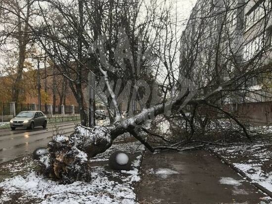     фото: телеграм-канал "т а к и ж и в е м"