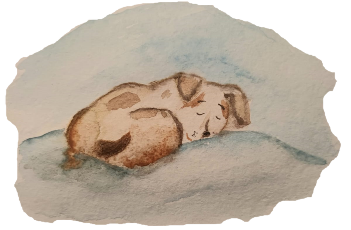 Авторская иллюстрация