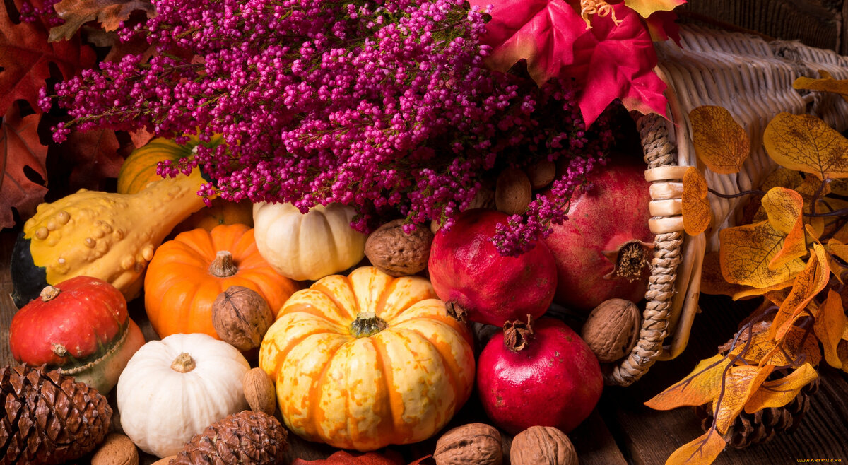 Фото "Яндекс" 