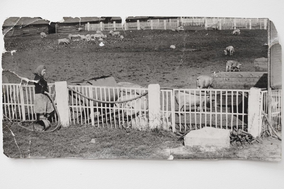 Листайте вправо, чтобы увидеть больше изображений