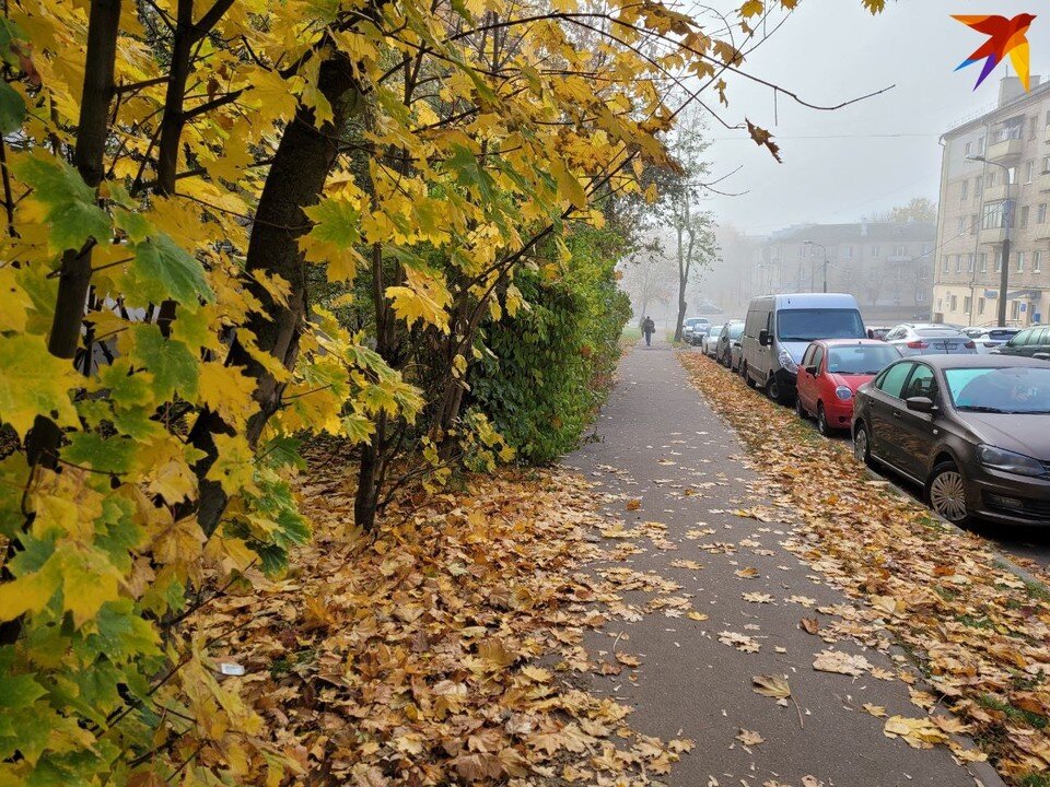     Посмотрели, какие ставки по кредитам в белорусских рублях предлагают банки в середине осени 2022 года. Фото: носит иллюстративный характер. Васо Месхи-Георгиади