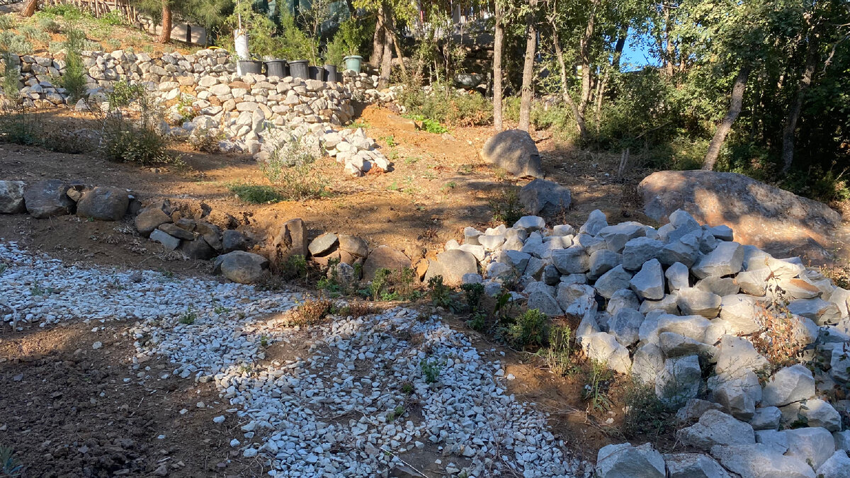 Вид на уголок сада автора, где работы недавно начаты и идут не очень бодро, потому что надо ещё доделывать и поддерживать то, что сделано уже в других уголках сада. Уголков, подобному тому, что на этом фото - раз в 10 больше, чем на фото предыдущем. ТАК ЧТО С УЧЁТОМ МАССОВОГО СТРОИТЕЛЬСТВА ЧАСТНЫХ ДОМОВ С САДАМИ, РАБОТА САДОВНИКА В КРЫМУ - ОДНА ИЗ САМЫХ ДЕФИЦИТНЫХ и многие из садовников вьют из клиентов веревки, о чем будет ещё рассказано отдельно. 