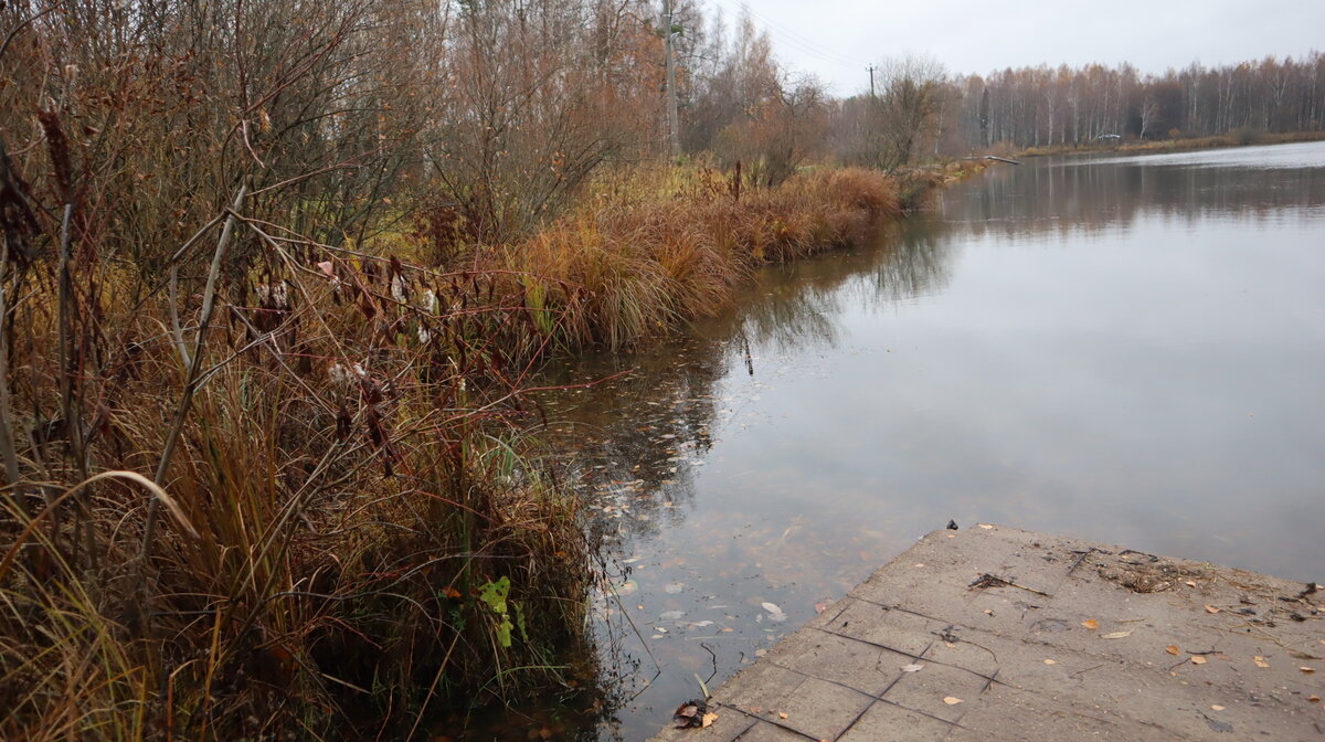 Осенний водоем.