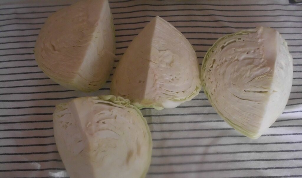 Головка капусты, разрезанная на 4 части. Личное фото автора канала Житейская проза