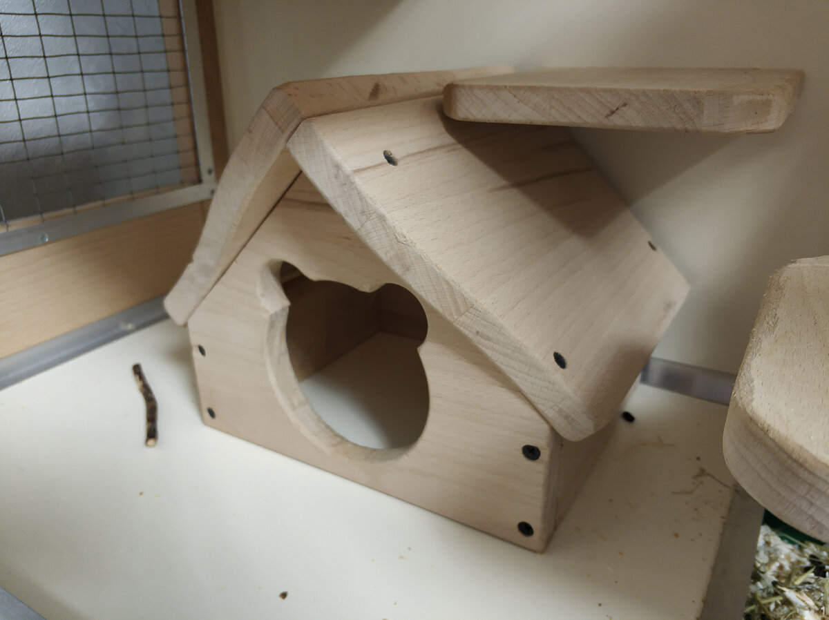 Наше жилище