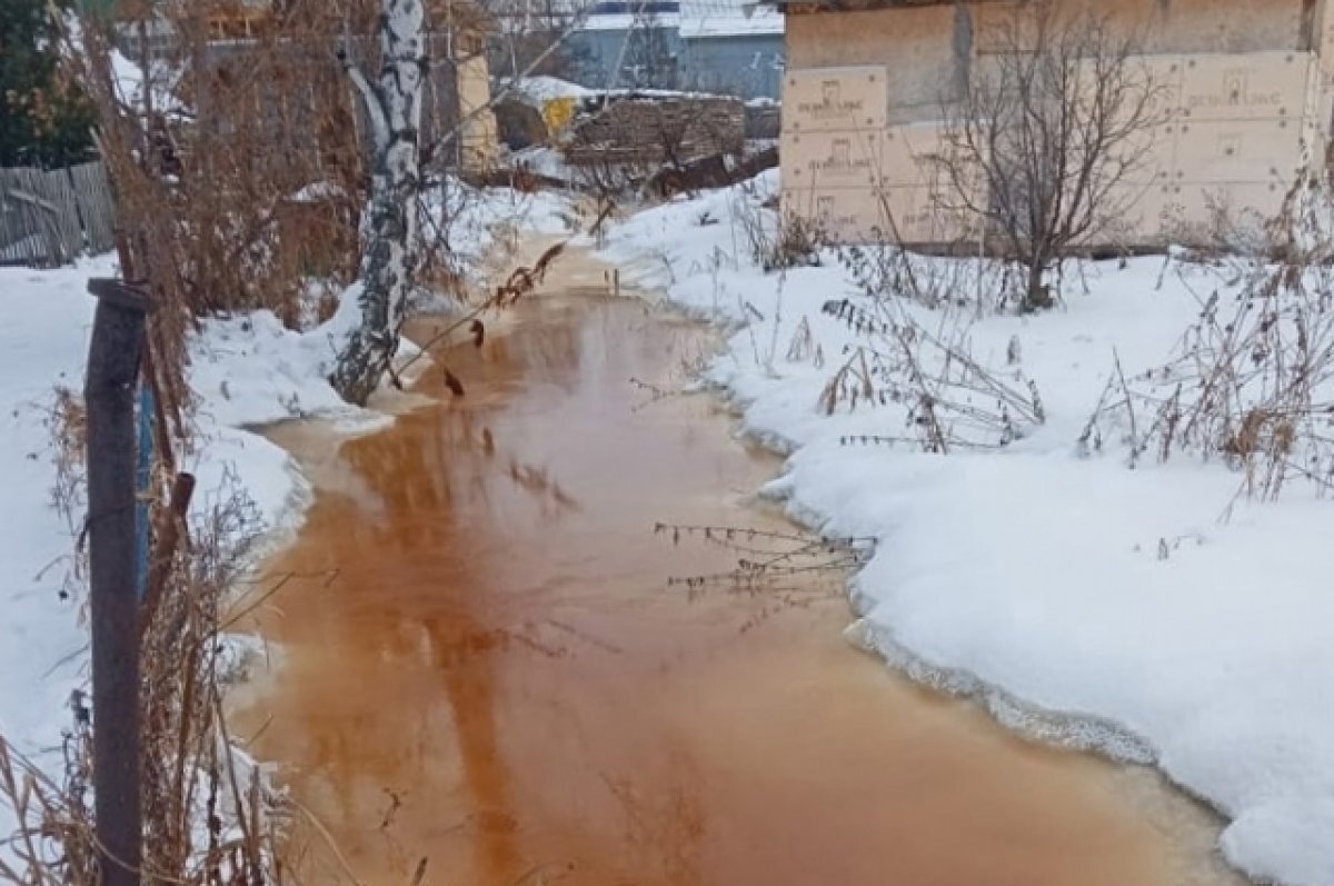    В Новосибирске специалисты Минприроды взяли пробы воды из порыжевшей реки