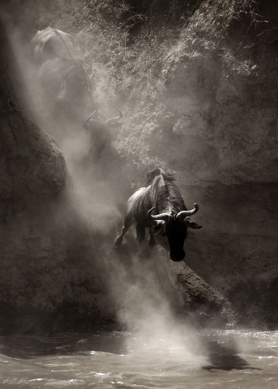 ����� ������� � ��������� ������ �������.