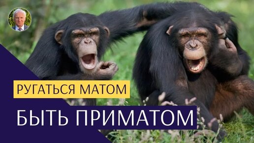 Плохо ли ругаться матом? Жизнь без мата. Как перестать материться?