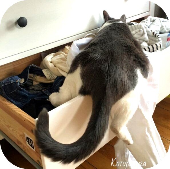 Источник: pinterest.com