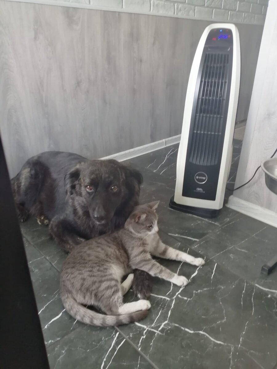 Это любовь💞
