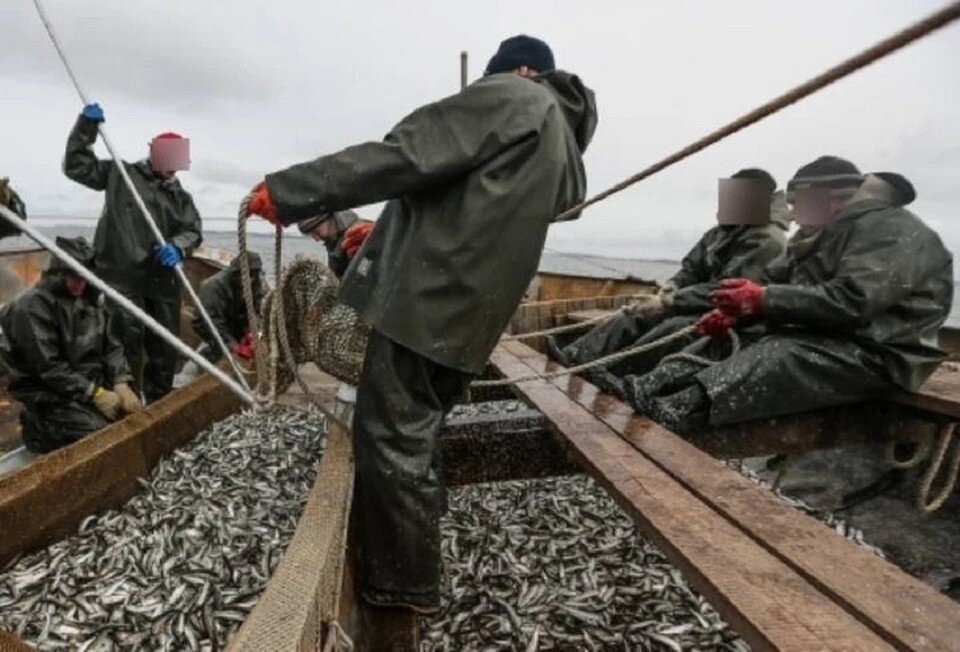     Всего на Дону ежегодно добывают около 24,5 тысячи тонн рыбы. Юрий ГУСЕВ