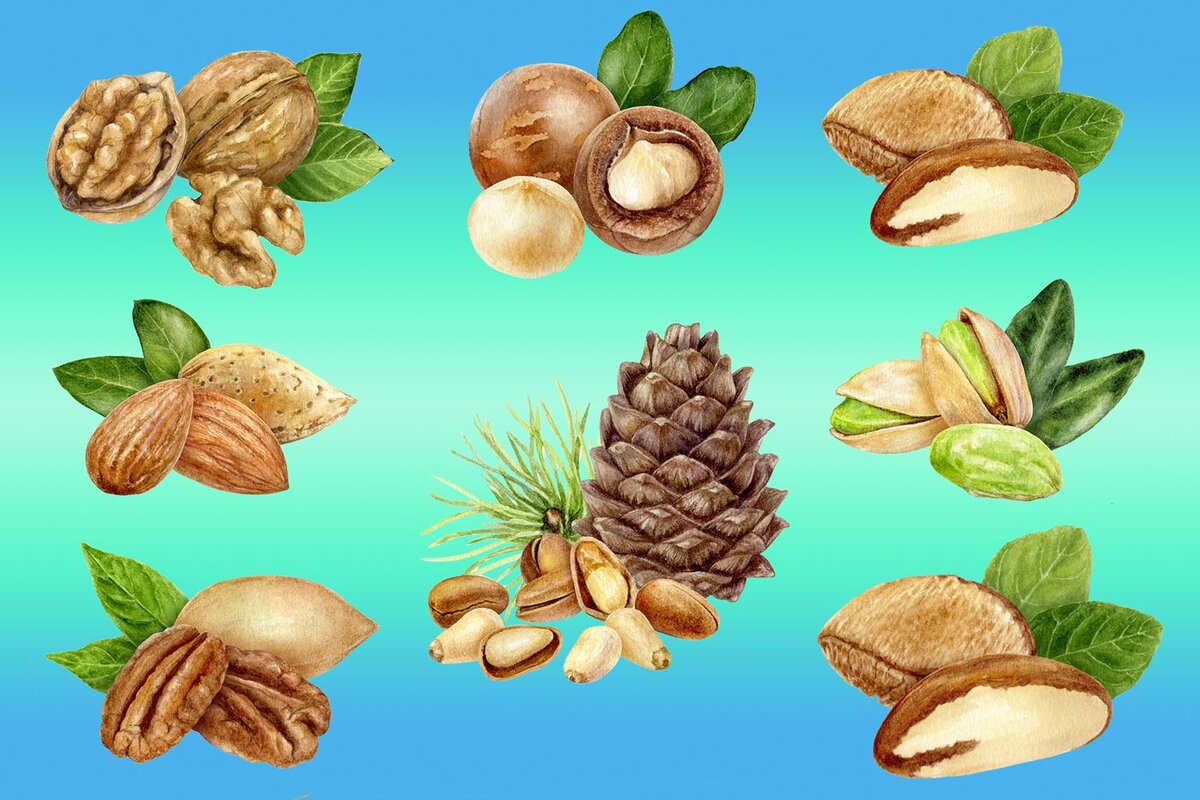 Лечебные свойства и эффективность ореха при диабете