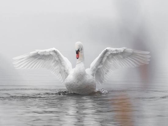     ФОТО UNSPLASH.COM