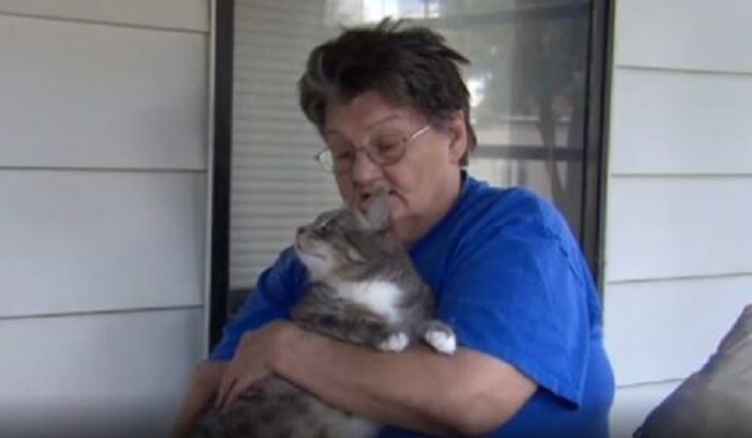 Хозяйка и кошка. Источник фото: https://www.iizcat.com/post/4963/Cat-stops-burglar-and-protects-his-mama