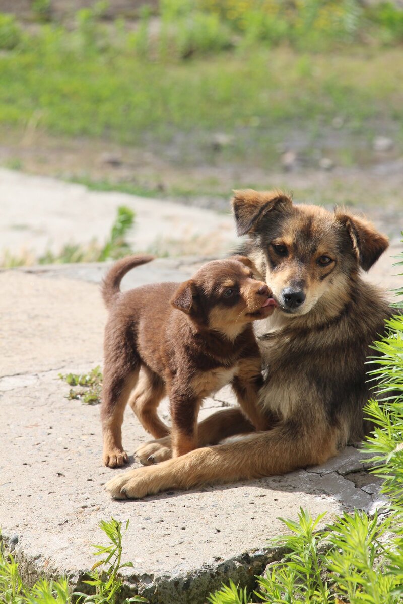 Из интернета