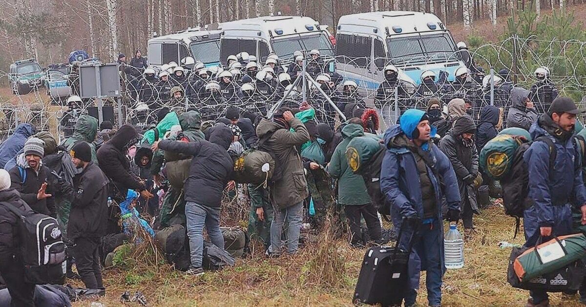 ltvn.ru📷
