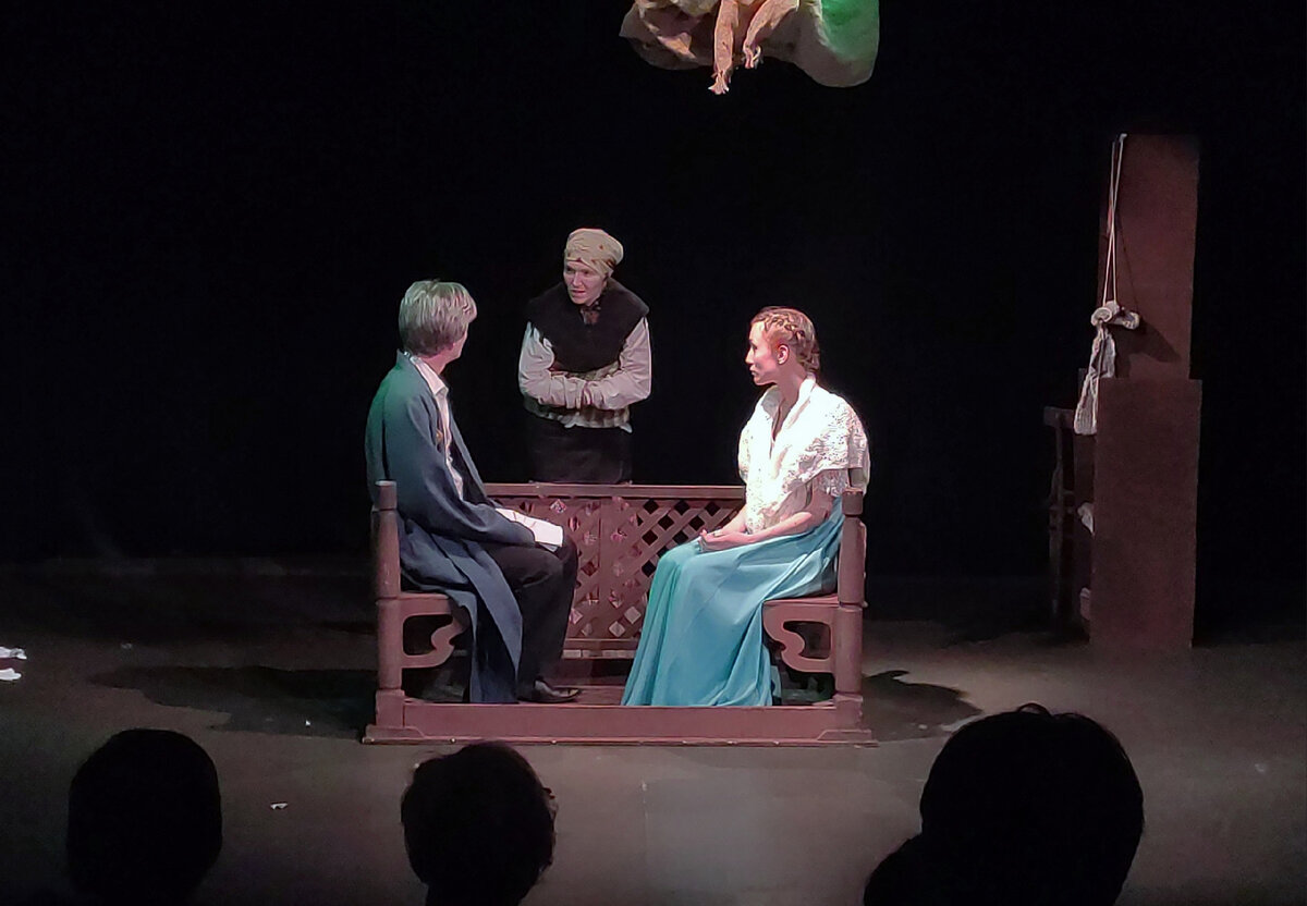 потрясающий спектакль. спектакль дачники центральный дом актера актеры и рецензии. анна дубровская и вадим дубровицкий. спектакль зрители. потрясающий спектакль.