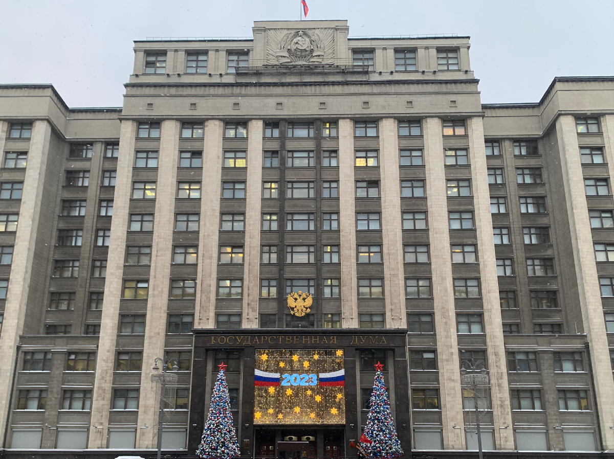 Госдума приняла в первом чтении законопроект «О государственном языке Российской Федерации»