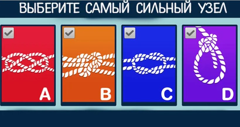 Изображение взято с открытых источников 