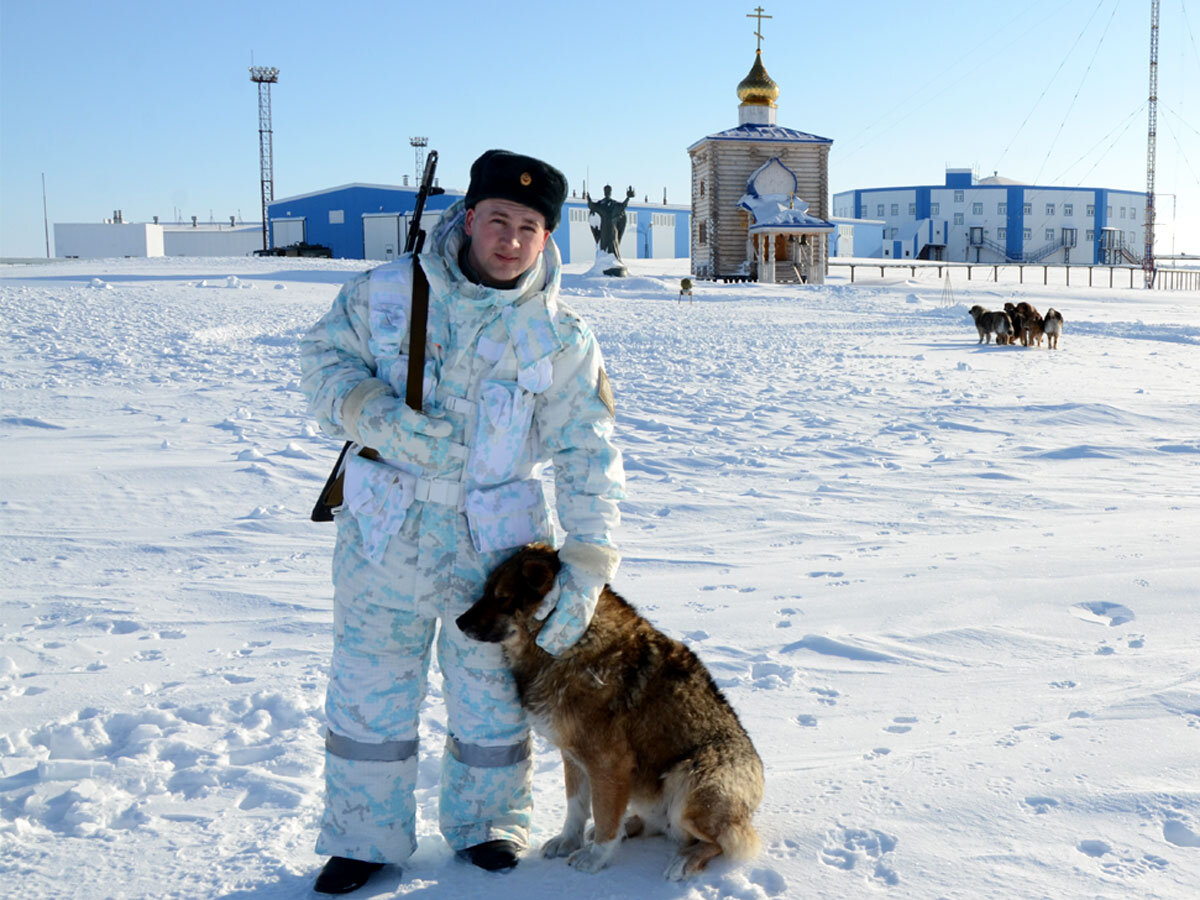 собака за полярным кругом. собаки за полярным кругом. тренировка каюра. ездовые собаки на хоккайдо. арктика кольский полуостров.