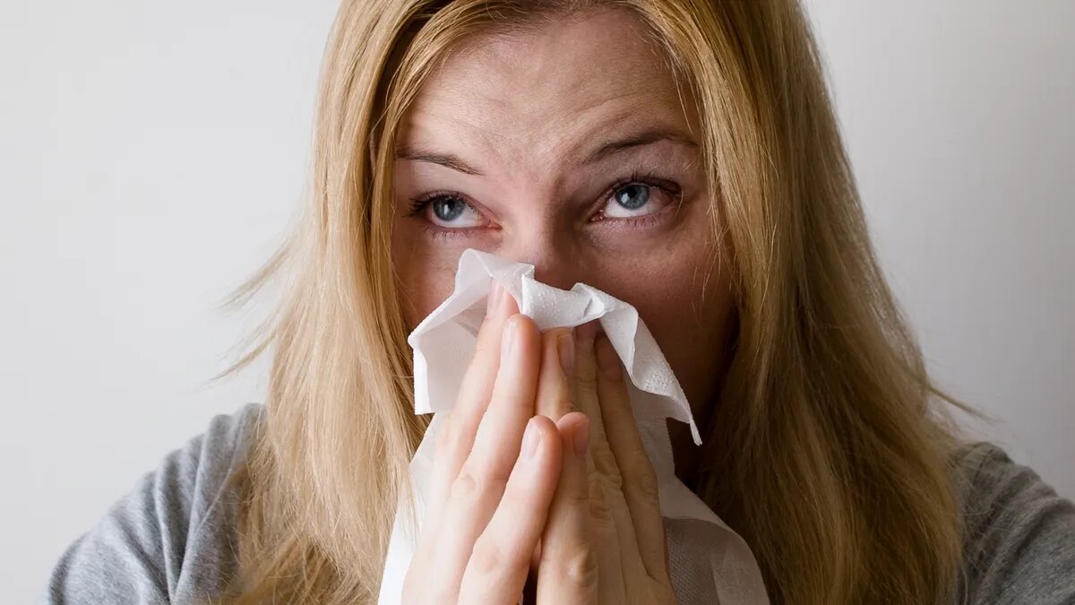 Свиной грипп был выявлен в 82 регионах страны. Фото: Pxfuel.com