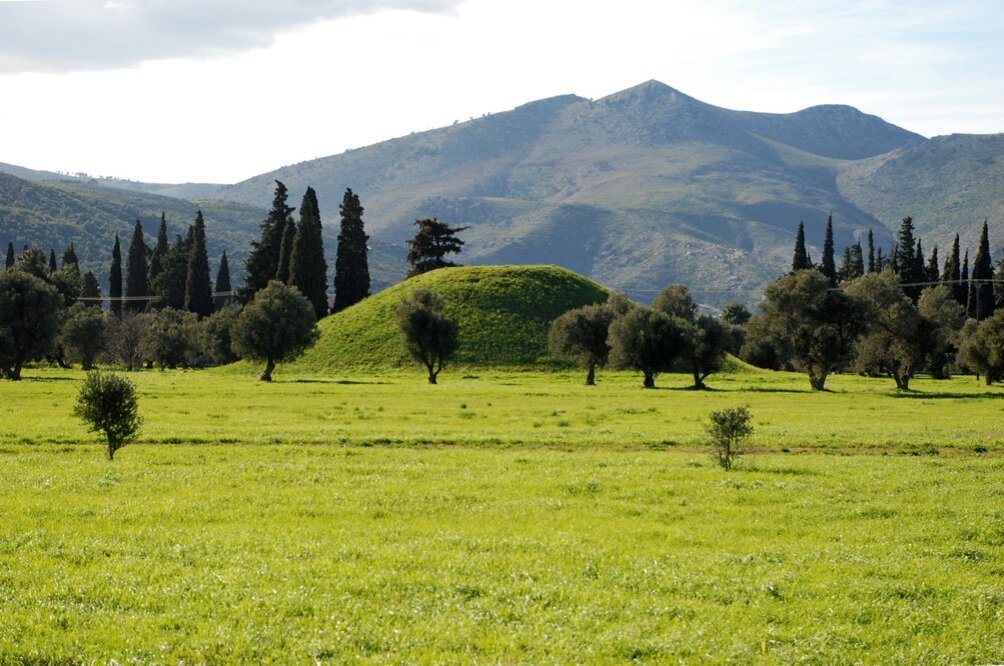 крит греция оливковое дерево. холмы тосканы италия. афинская долина. поль греческое. виноградники греции.