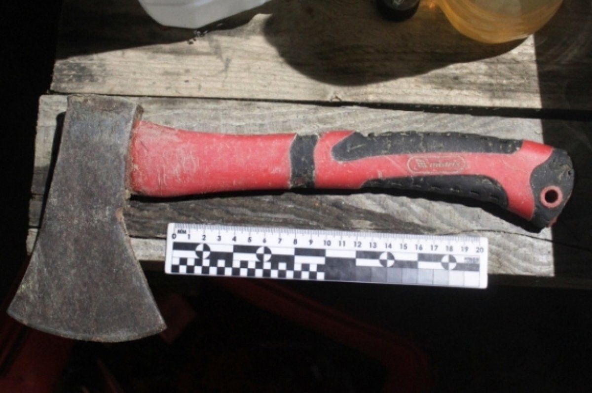    Ударами топором завершился спор мурманчан о том, кто будет убирать мусор