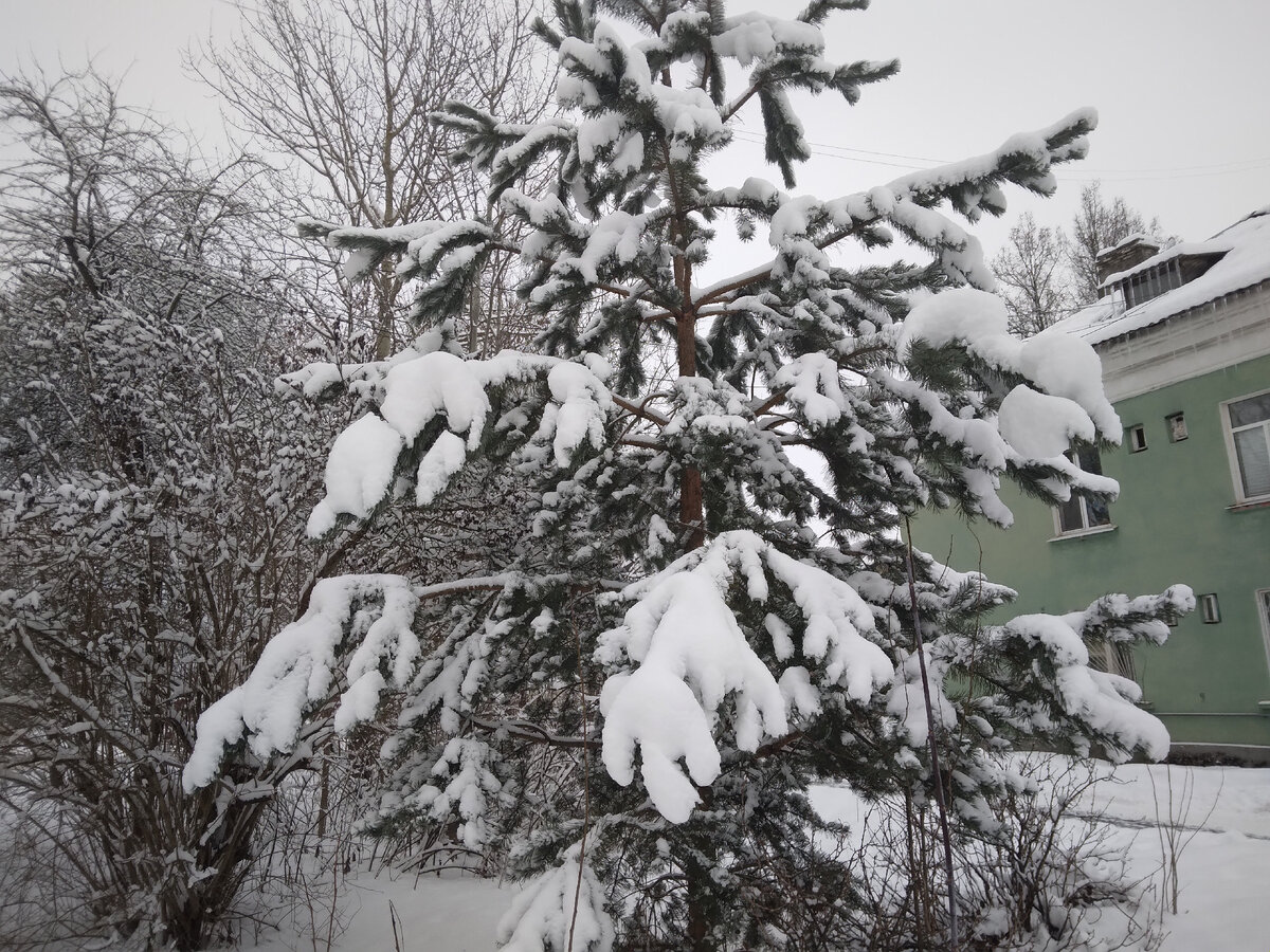 Фото Ирины Одарчук, творческий псевдоним Ирина Одарчук Паули