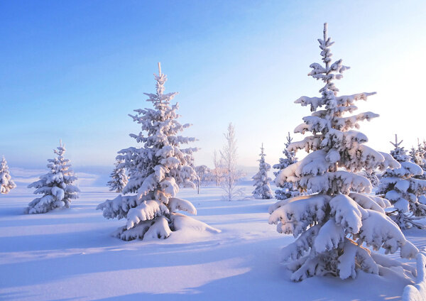 Обложка © Shutterstock