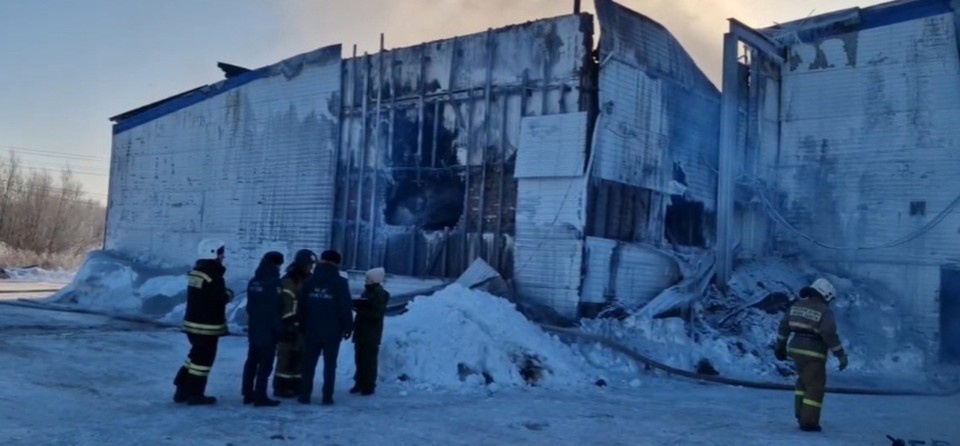     Фото: СК по Томской области