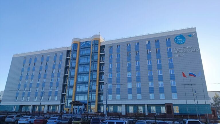    В Оренбургском перинатальном центре временно отменили партнерские роды из-за роста ОРВИ Елена Шкатова