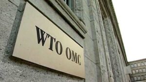    Фото: economy.24tv.ua Ольга Суханова