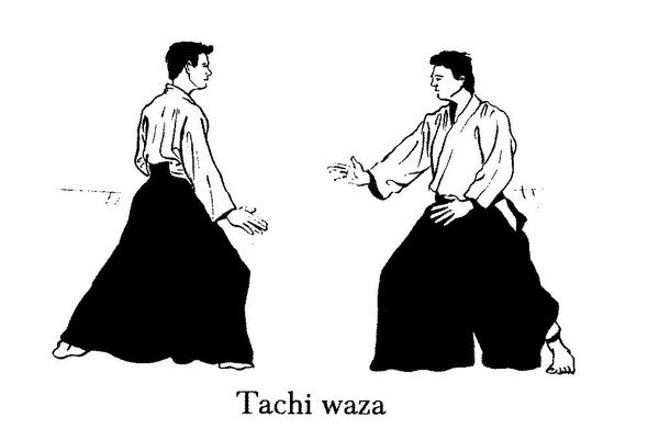 Best aikido. Стойки 