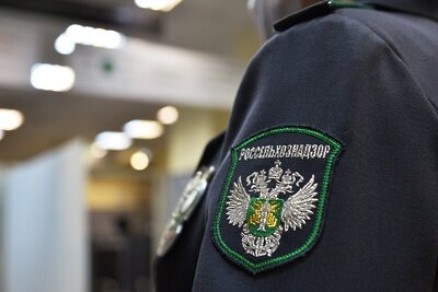    Шеврон сотрудника Россельхознадзора в аэропорту "Баландино" в Челябинске. ©Александр Кондратюк РИА Новости