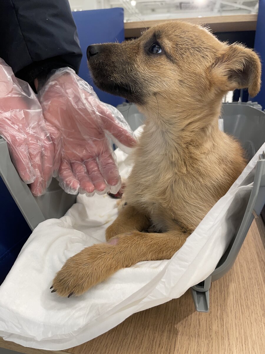 Данька сразу по приезде