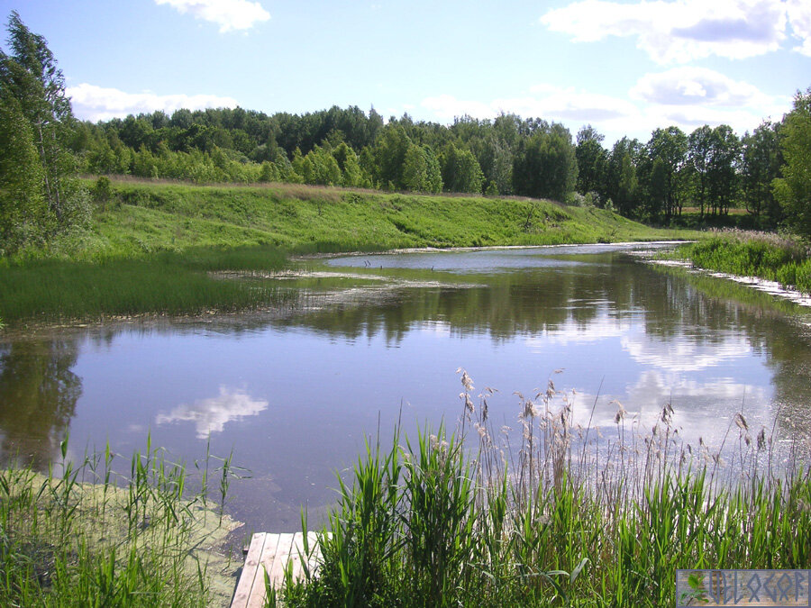 ленский в деревне цитаты