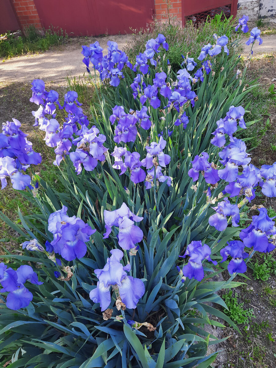 Из личных архивов