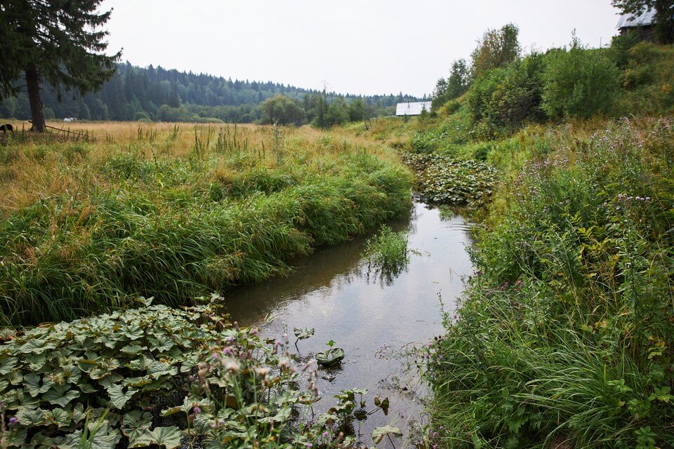     Вдоль вот этой речушки раньше шел старый Сибирский тракт. Николай ОБЕРЕМЧЕНКО