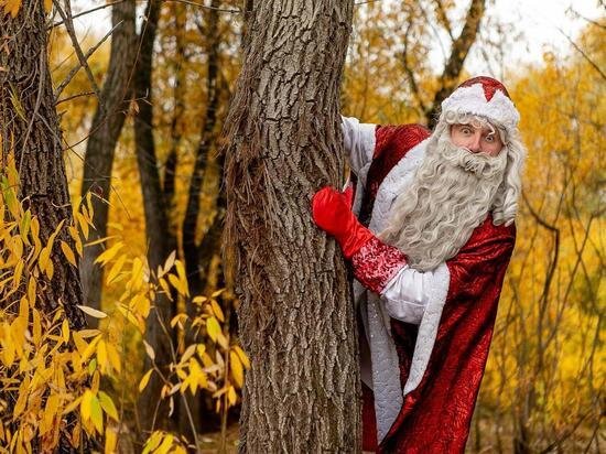     фото предоставлено ольгой по