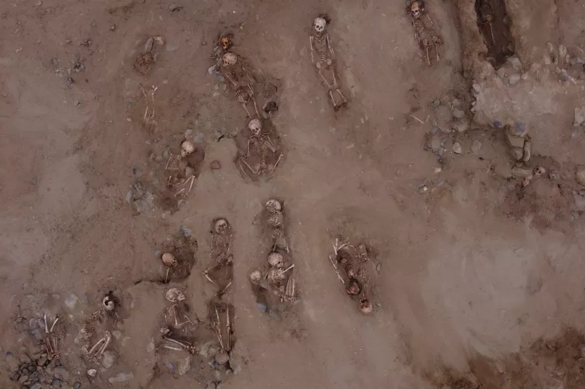     В Перу найдено 76 детских скелетов, оставшихся после жуткого жертвоприношения