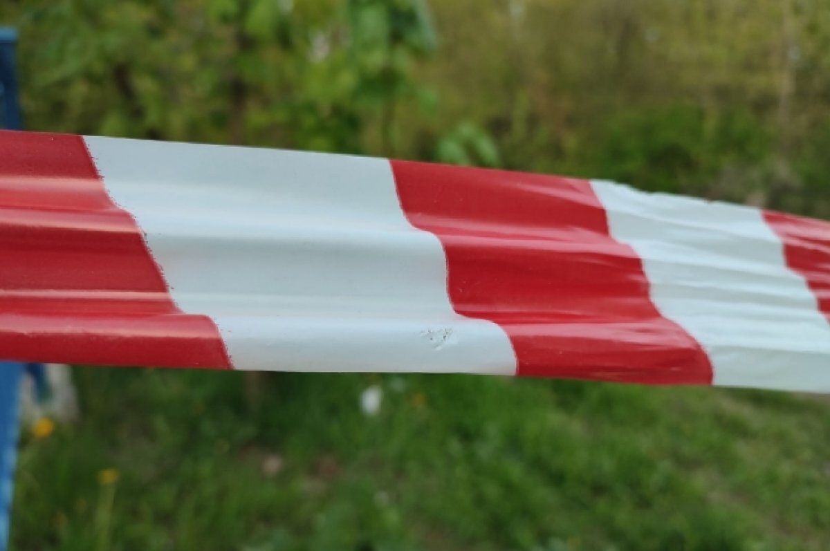    Под Тверью ввели карантин из-за случаев бешенства животных