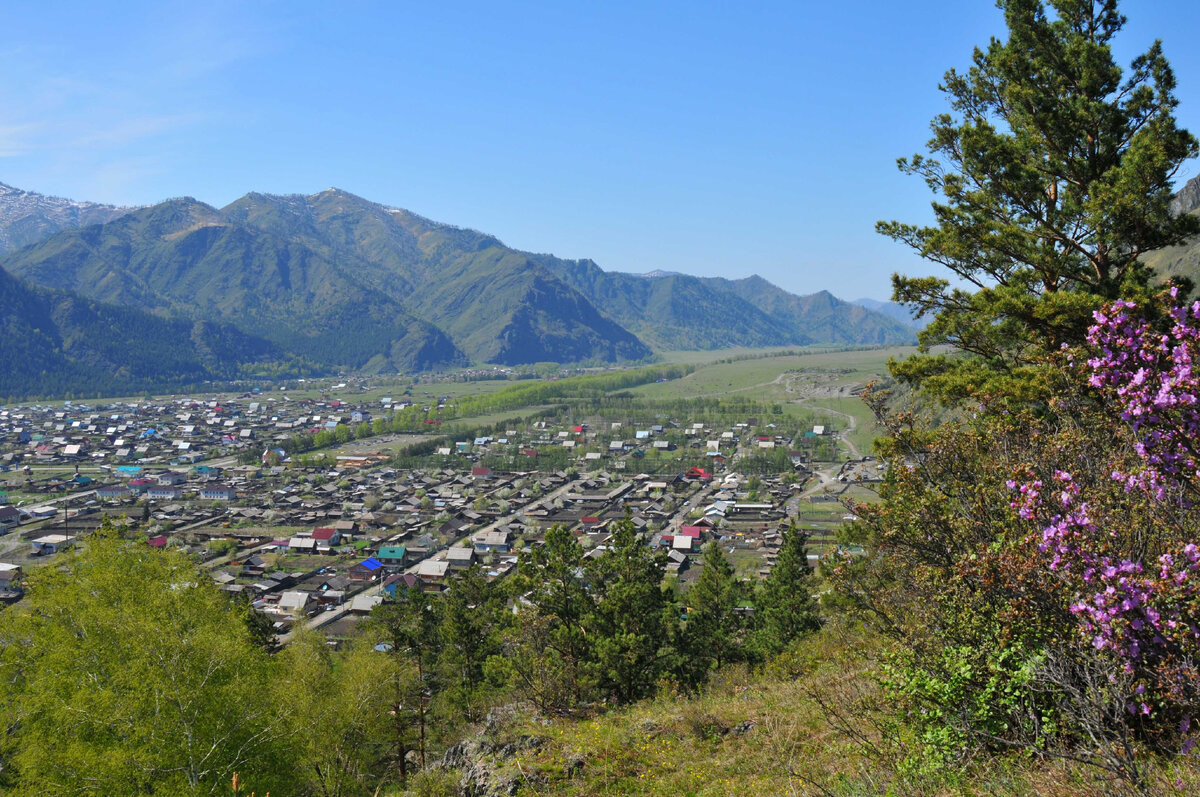 Село чемал фото