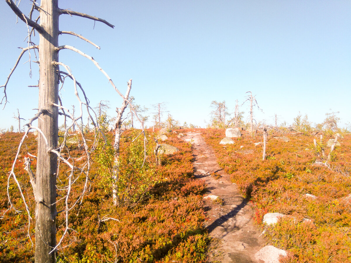 Место силы гора Воттоваара, Карелия. Фото - автора блога.