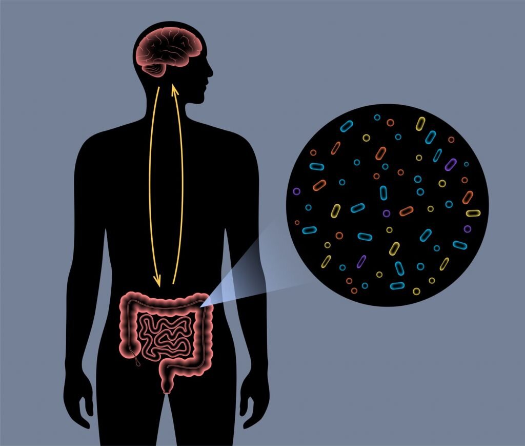 В кале человека нашли 13 видов бактерий, которые влияют на настроение