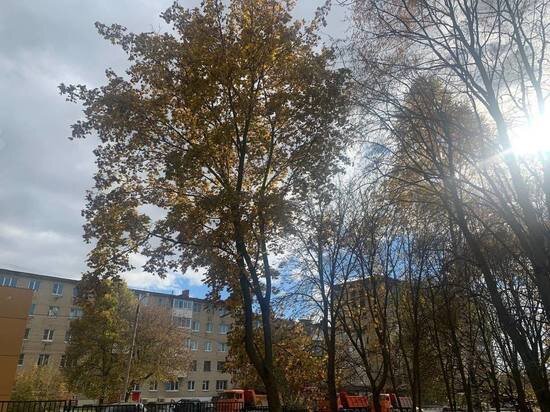     ФОто: МК в Туле