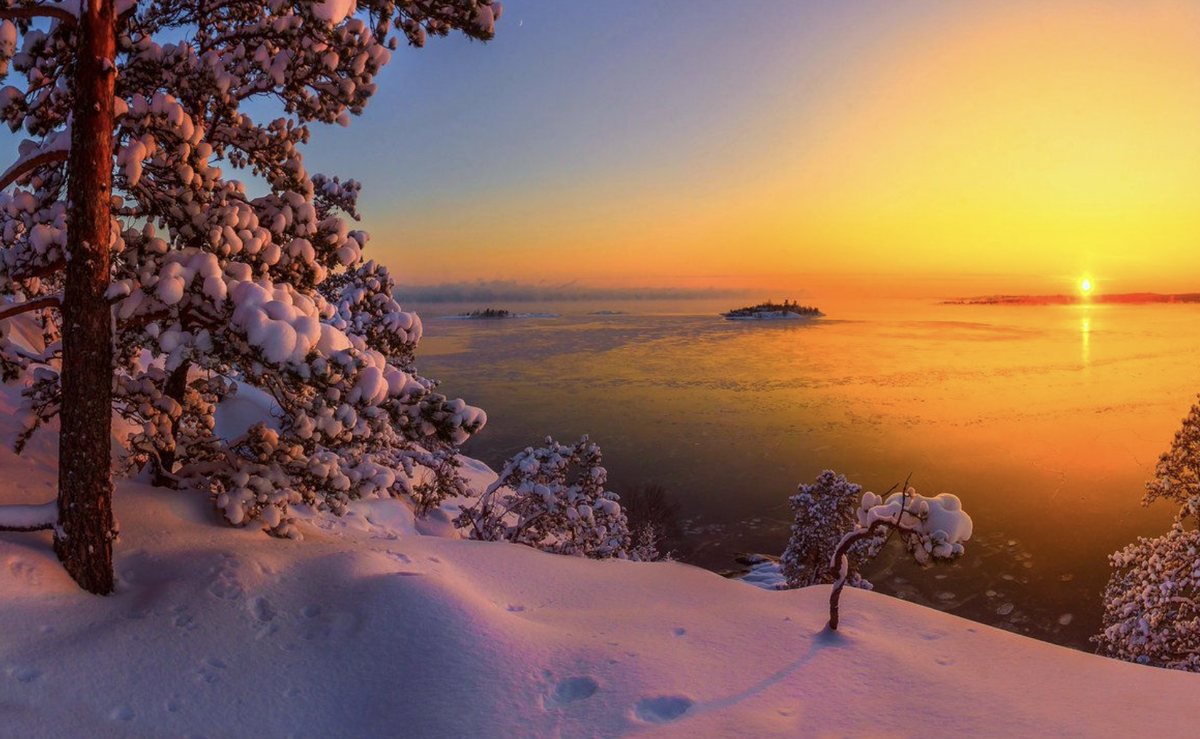 озеро блаузее, швейцария зима. зимнее озеро. новый год озеро.