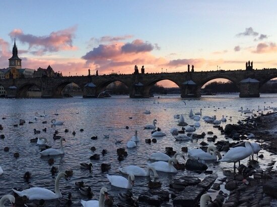     Фото: «МК в Питере»