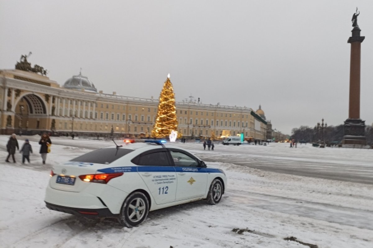 Глава СК РФ Бастрыкин поручил проверить задержанных на Дворцовой мигрантов  | АиФ – Санкт-Петербург | Дзен