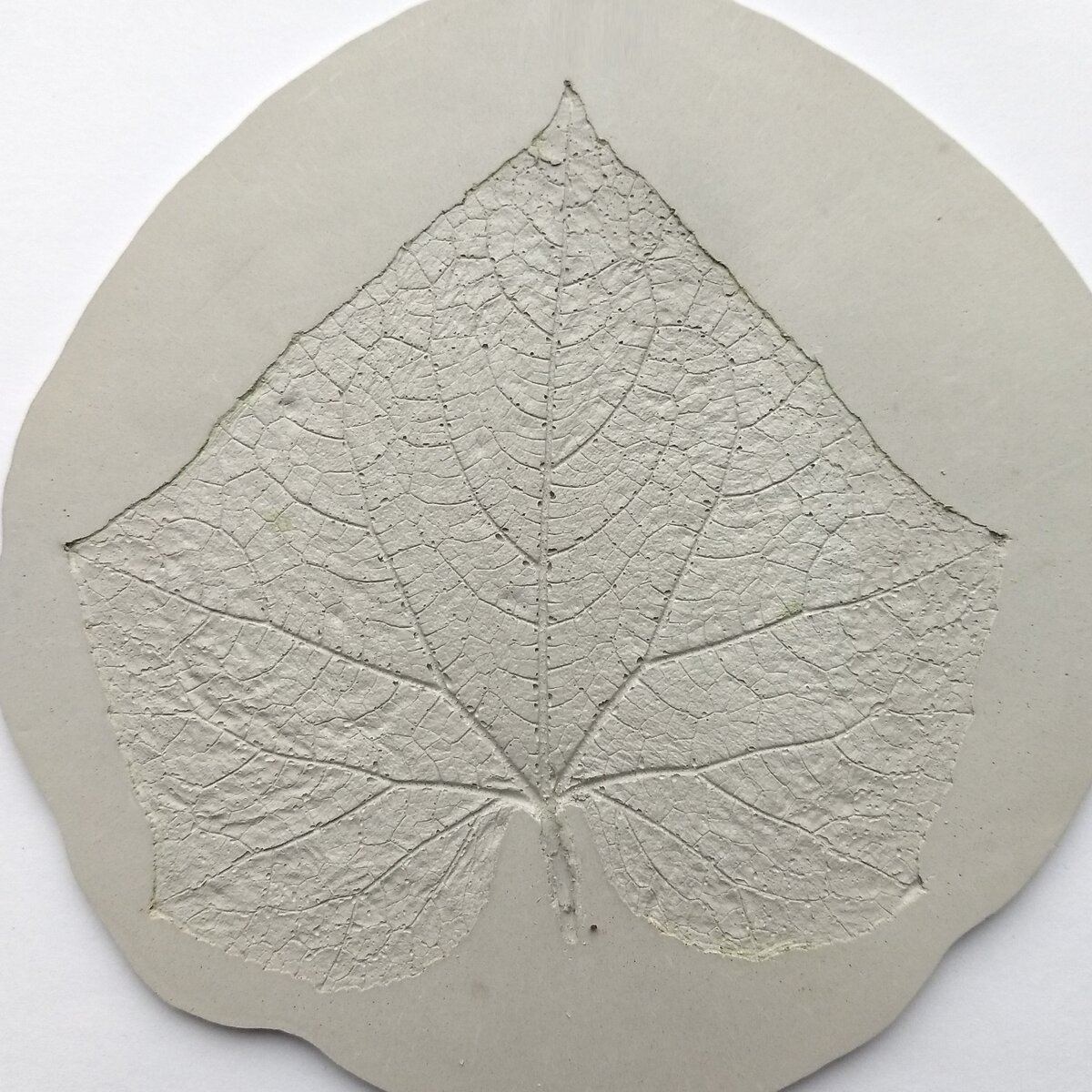 эксперименты с гипсовой штукатуркой